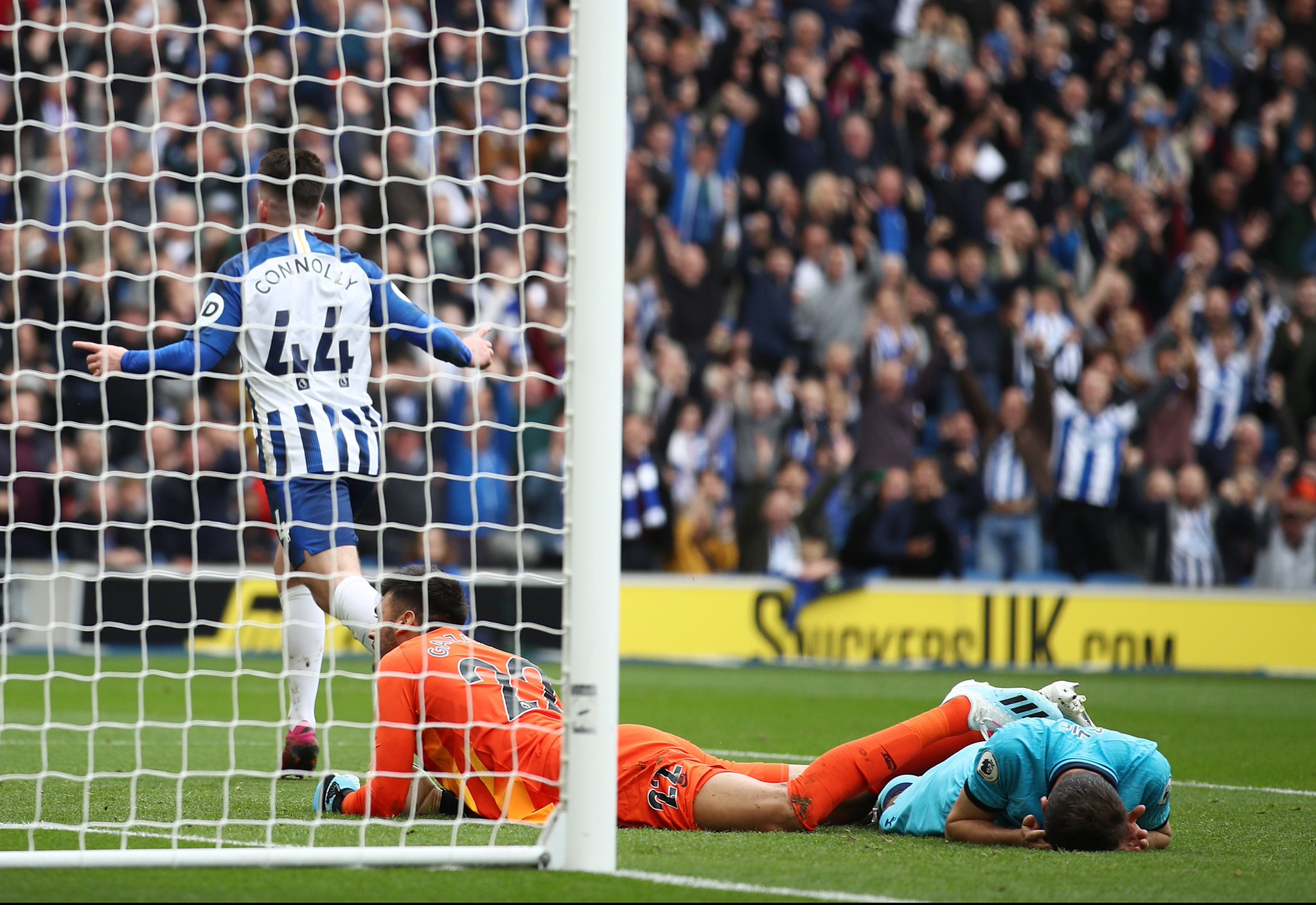 极大认可 极大认可